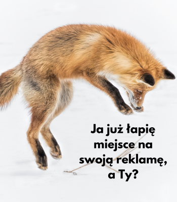 miejsce na reklamę lis