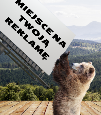 miejsce na twoją reklamę bóbr