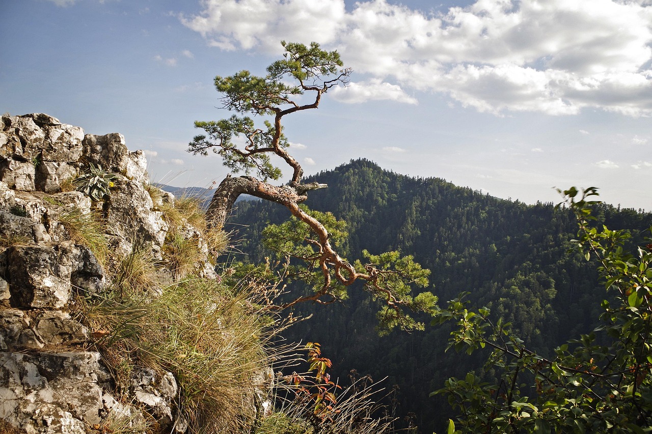Pieniny – miejscowości turystyczne warte odwiedzenia