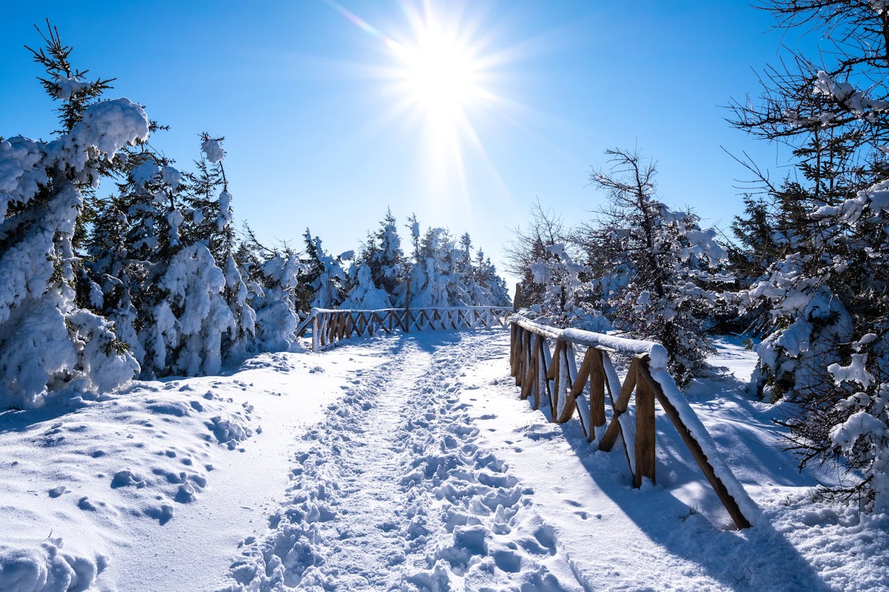 Świeradów-Zdrój – na jaki szczyt prowadzi kolej gondolowa?