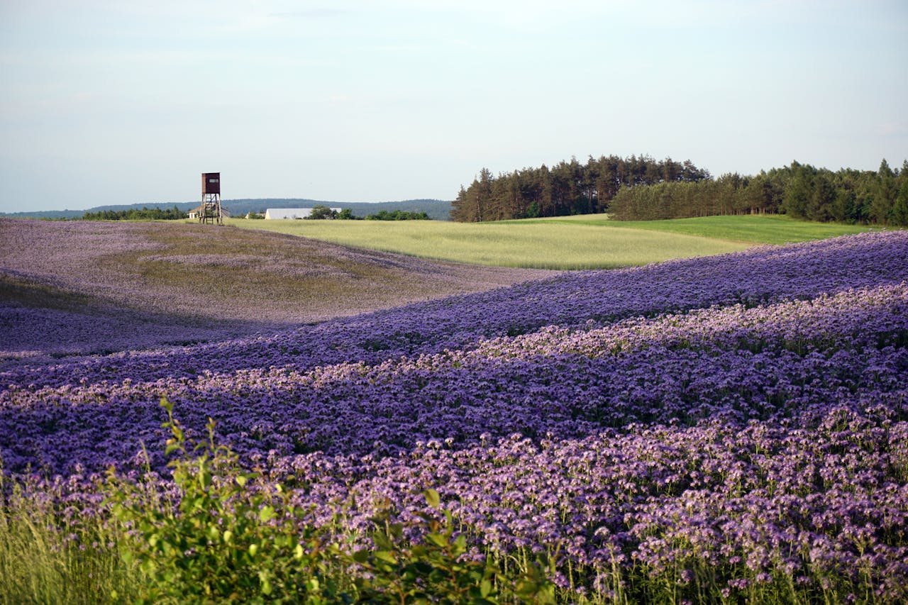 Góry Sowie – co zwiedzić?