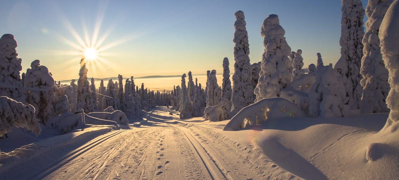 Góry Bialskie – trasy biegowe