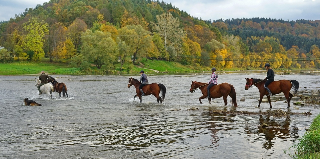 Bieszczady – jakie to góry?
