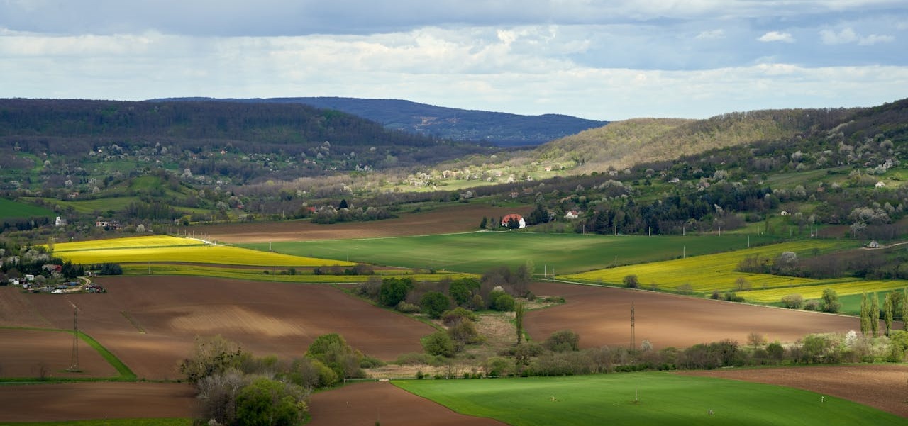 Góry Złote – jaki jest najwyższy szczyt?