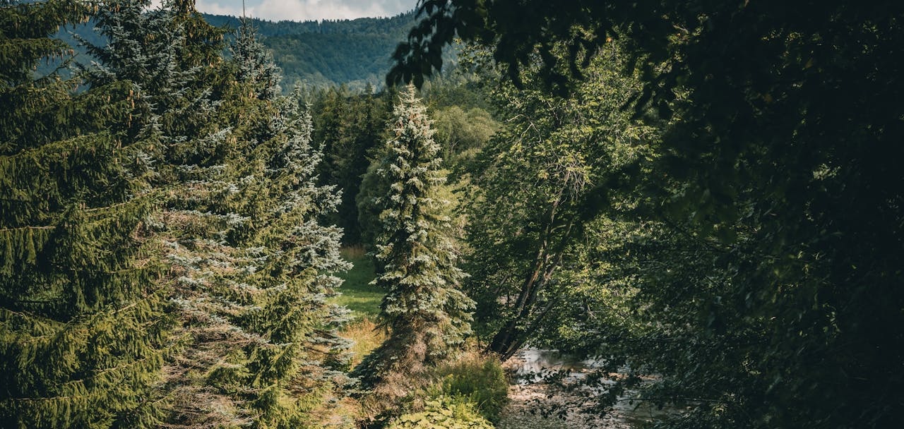 Góry Bardzkie – budowa geologiczna