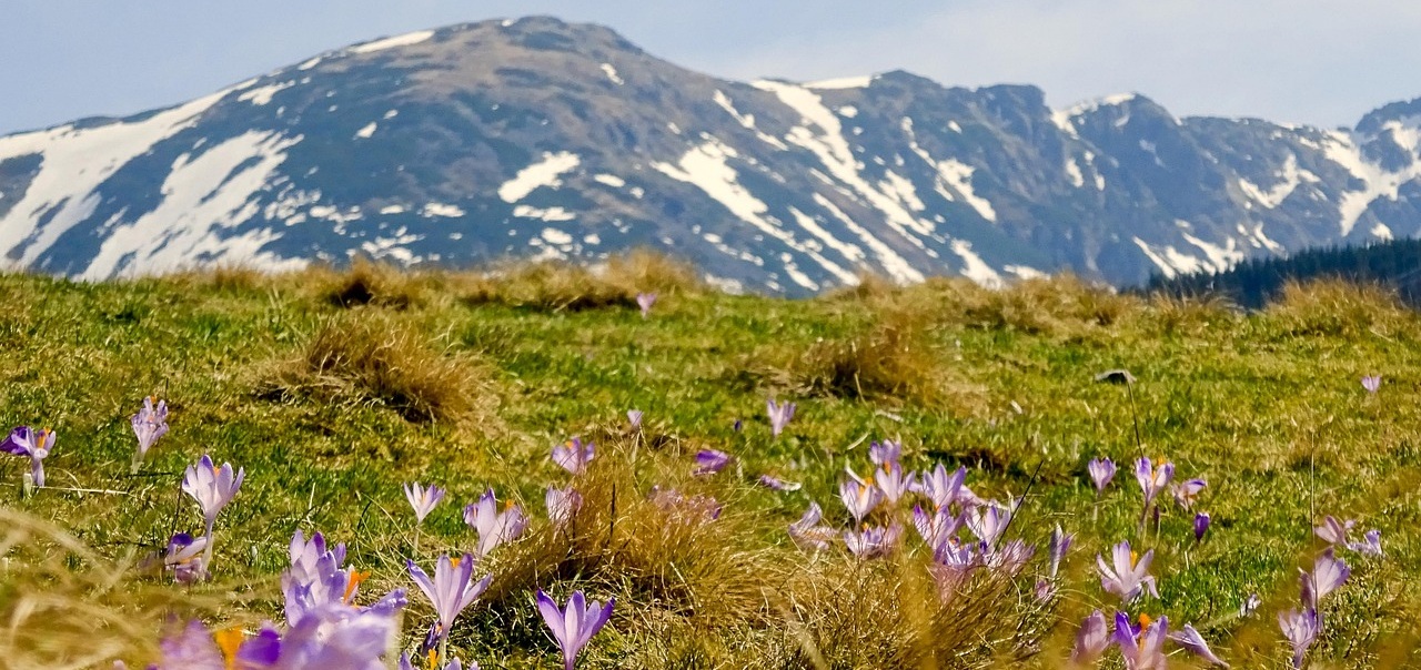 Korona Gór Polski książeczka – gdzie kupić?