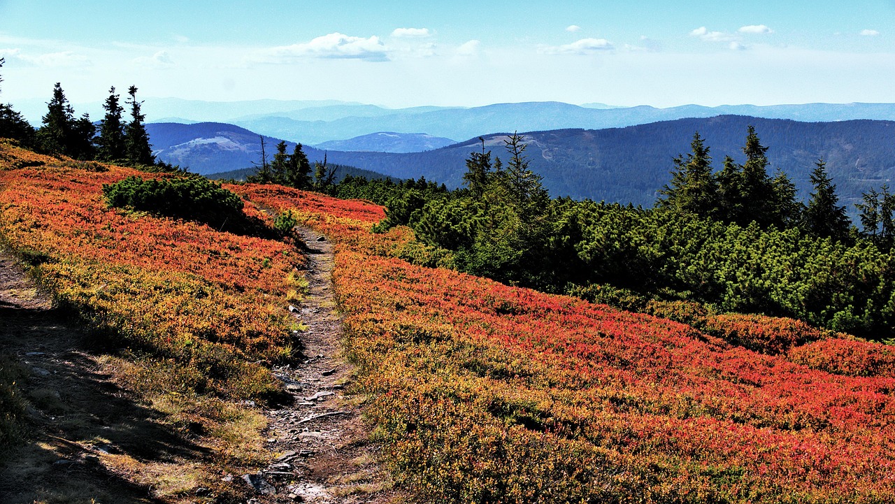Góry Opawskie – jakie szlaki piesze warto wybrać?