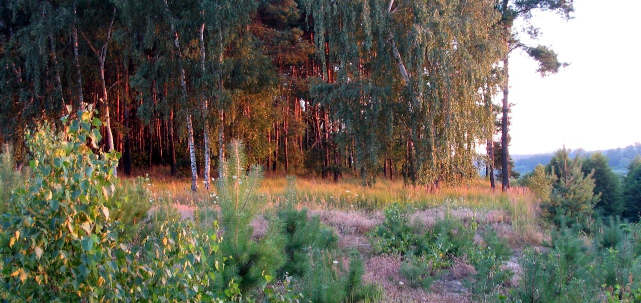 Góry Opawskie – jaki park krajobrazowy chroni ten region?