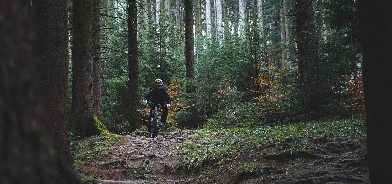 Góry Bystrzyckie – trasy rowerowe