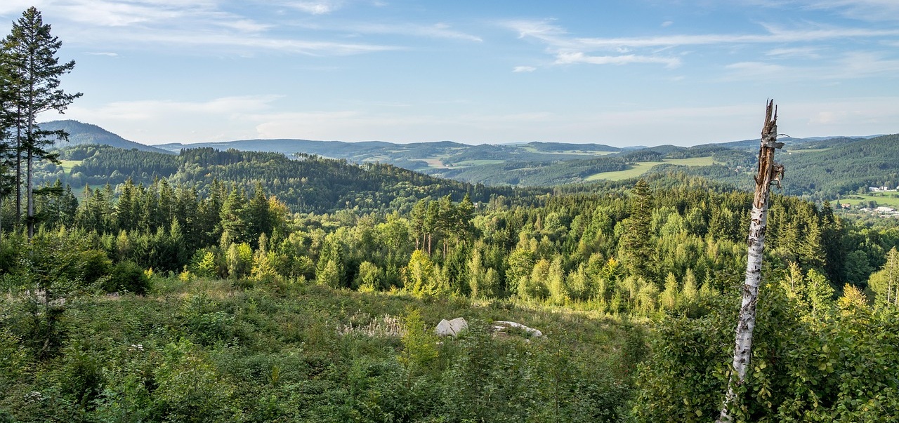 Jakie szczyty kryje Masyw Śnieżnika?