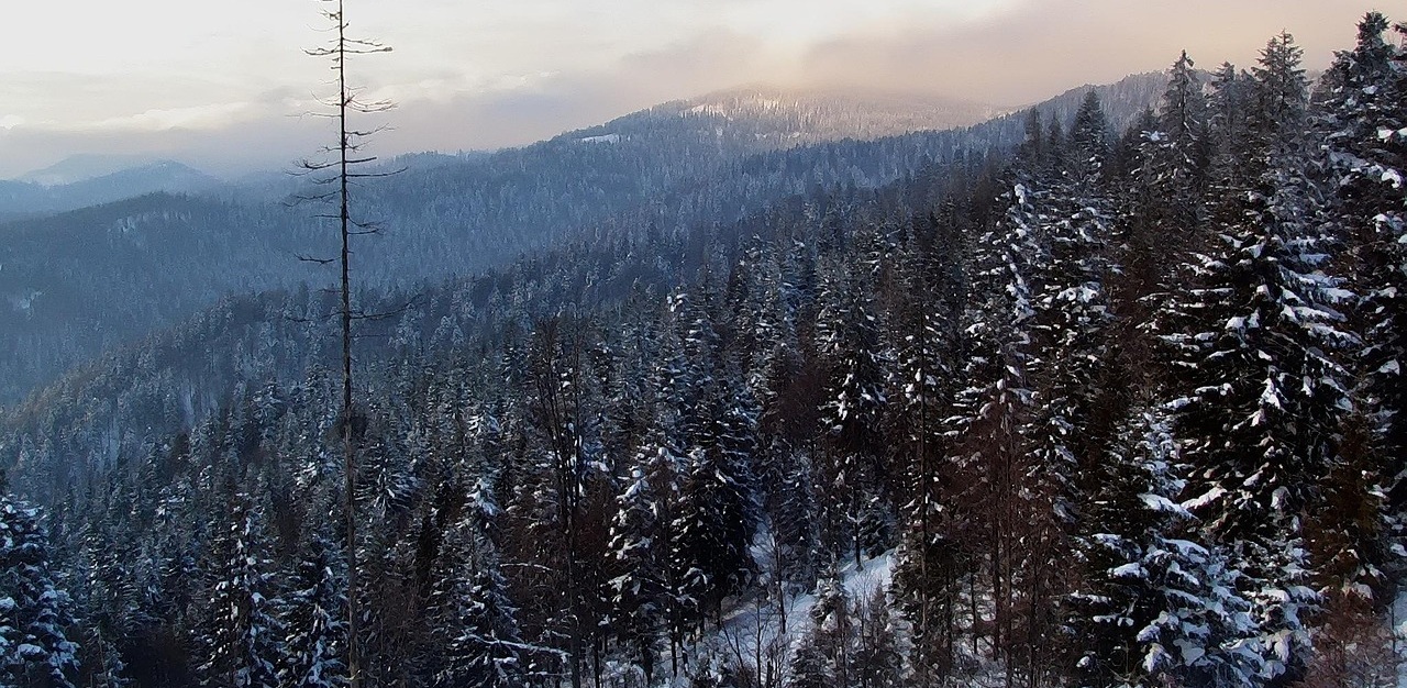 Góry Orlickie – gdzie na narty biegowe?
