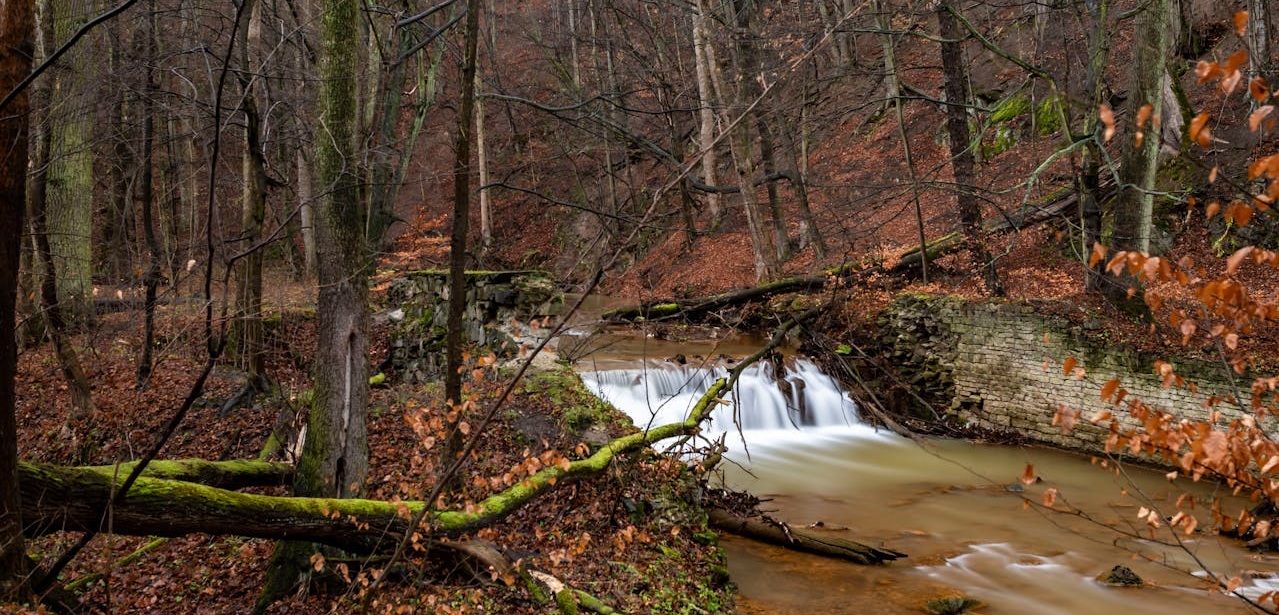 Jak powstały Góry Wałbrzyskie i co kryje ich budowa geologiczna?