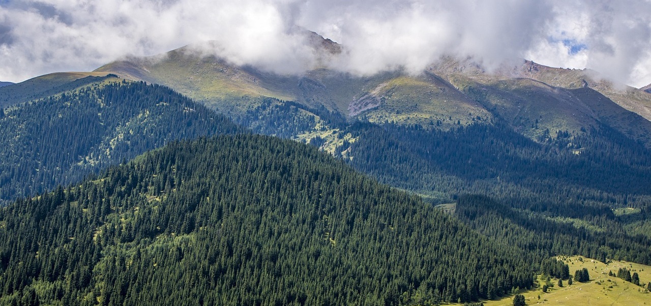 Góry Kamienne – szlaki, które warto przejść