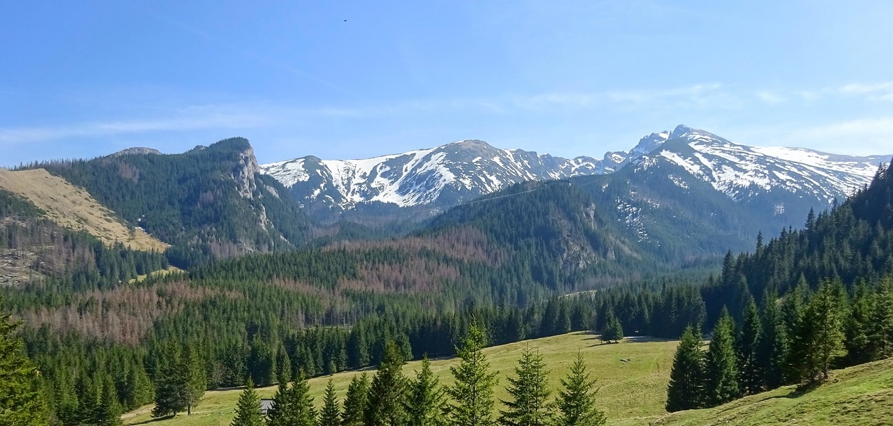 Masyw Śnieżnika – jakie szlaki warto wybrać? Przewodnik po najciekawszych trasach