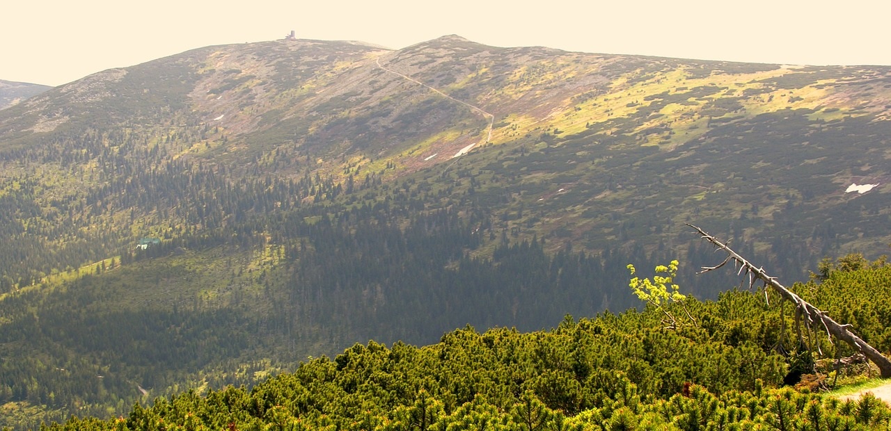 Sudety Wschodnie – jaki jest najwyższy szczyt?