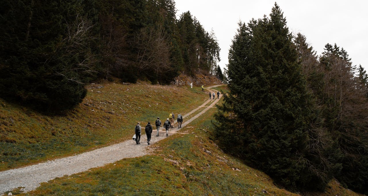 Co oznaczają znaki na szlakach górskich?