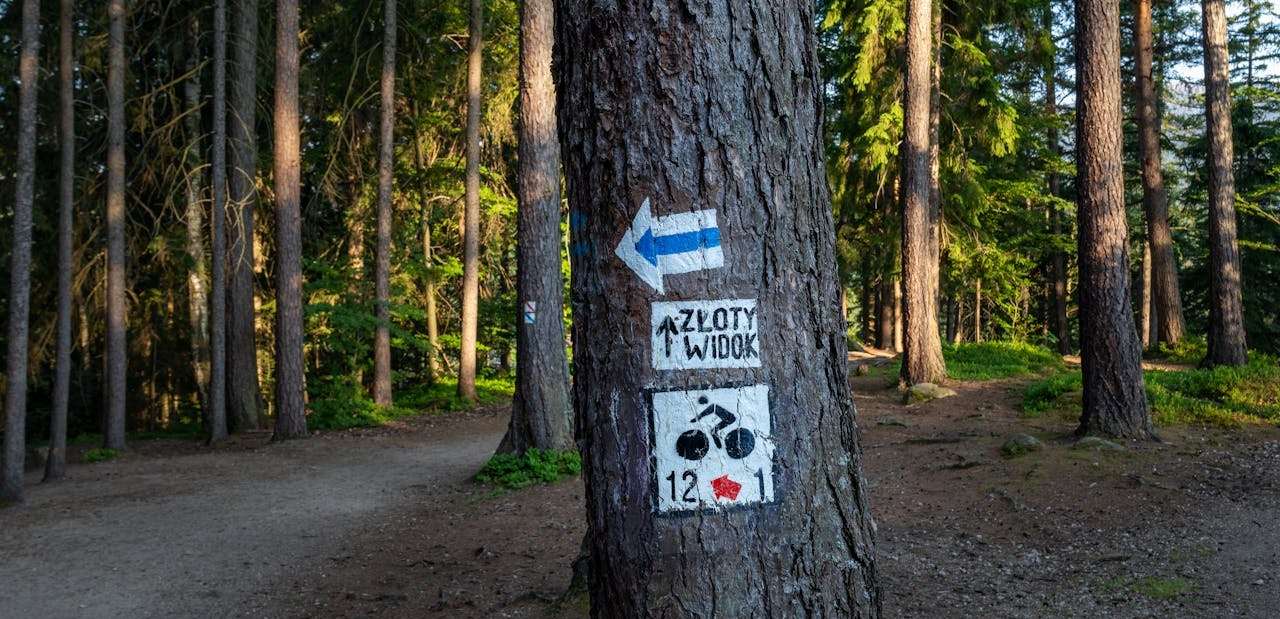 Jakie są szlaki turystyczne w Sudetach Zachodnich?