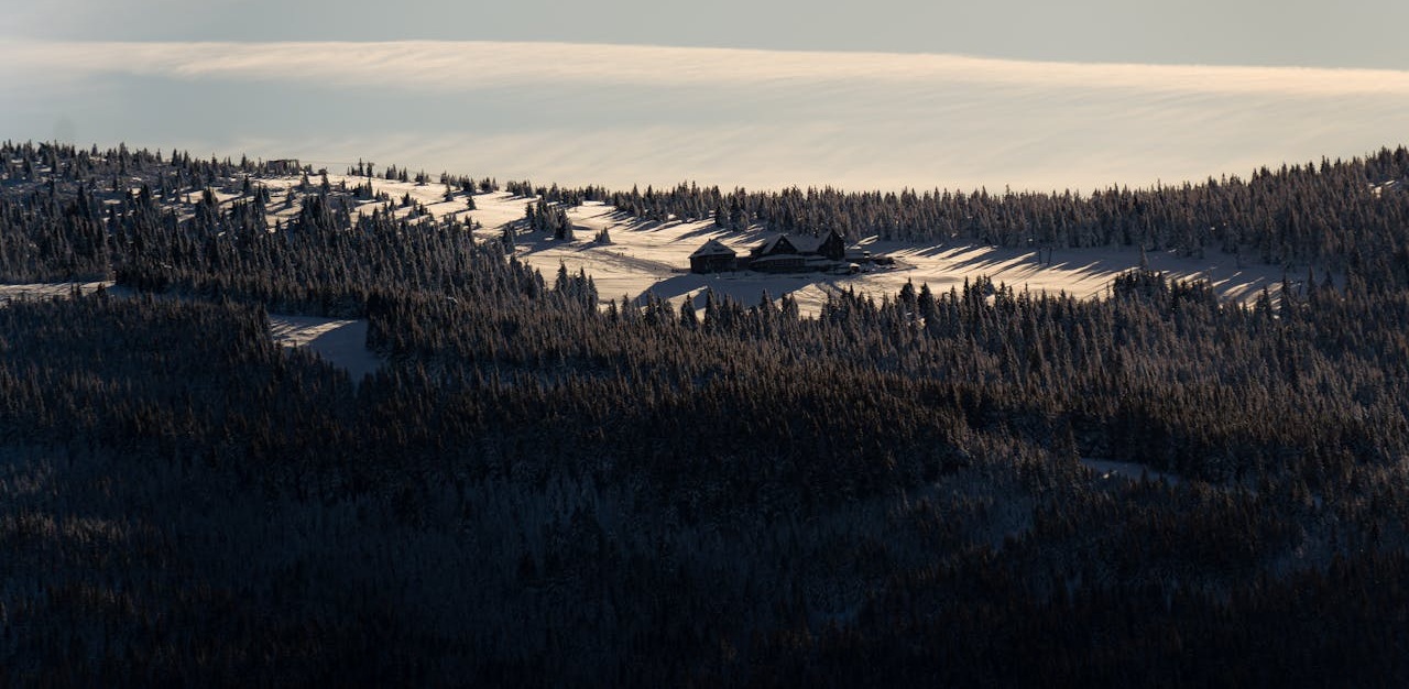 Skąd się wzięły Sudety Zachodnie? Analiza orogenez i ich wpływu na budowę geologiczną