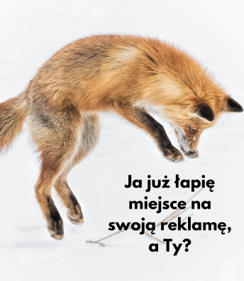 Advertisement Image1