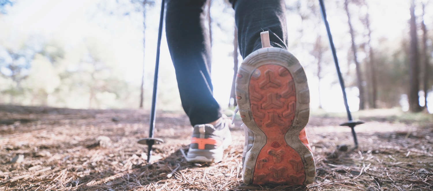 Jakie kije trekkingowe w góry są najlepsze?