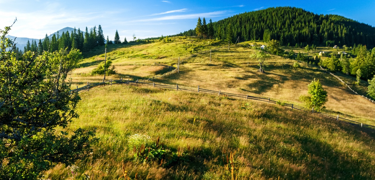 Beskidy – co zwiedzić zimą?