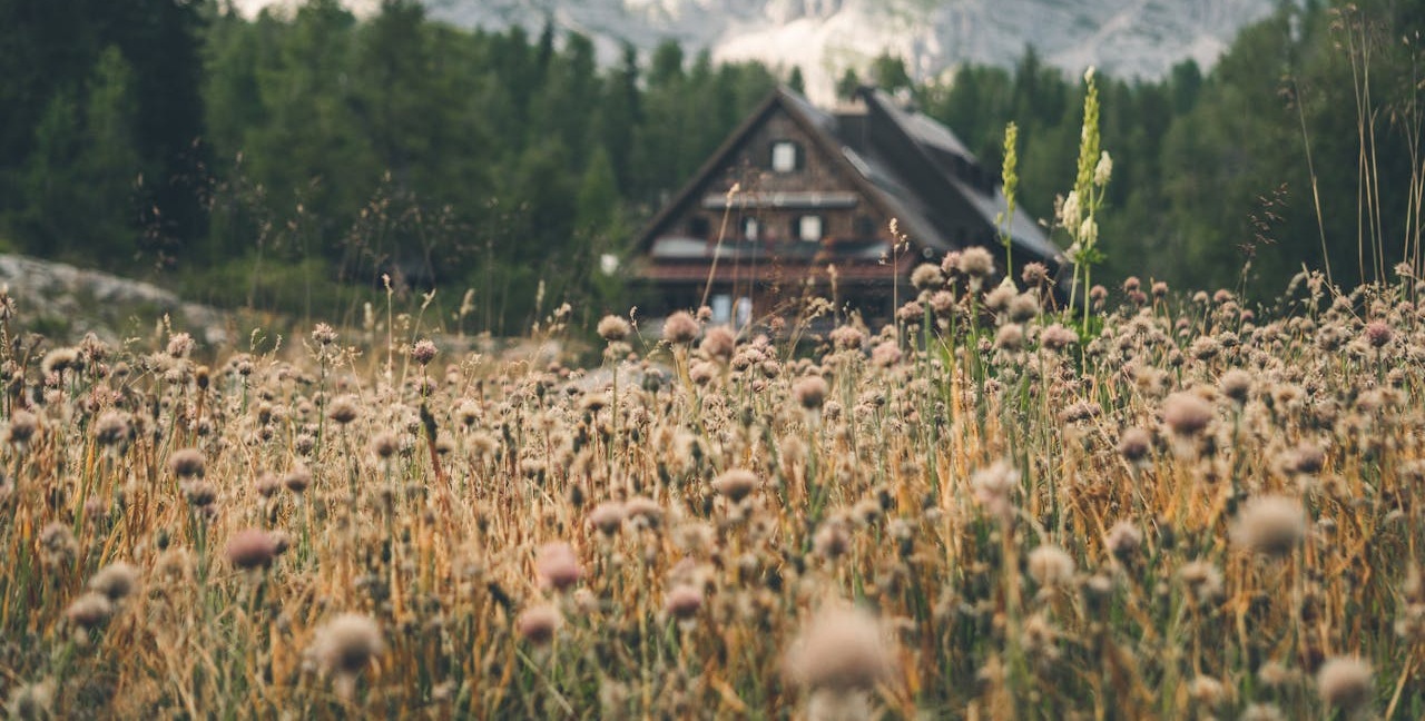 Jakie są Beskidy w Polsce?