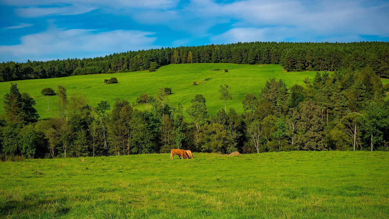 Beskid Niski - najpiękniejsze szlaki