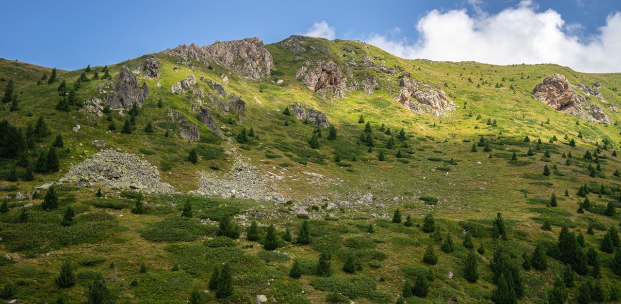 Wołowiec Beskid Niski – co to za miejscowość i dlaczego warto ją odwiedzić?