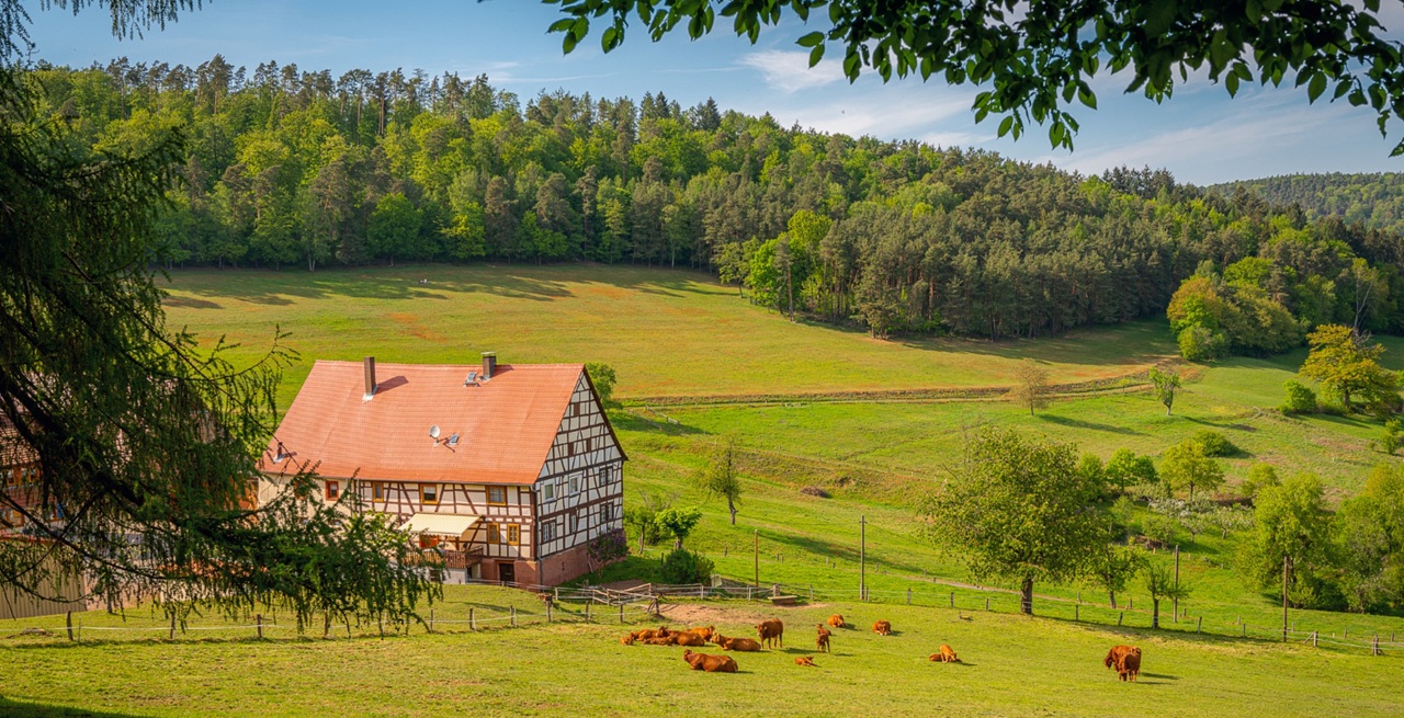 Beskid Niski agroturystyka – gdzie warto się wybrać?