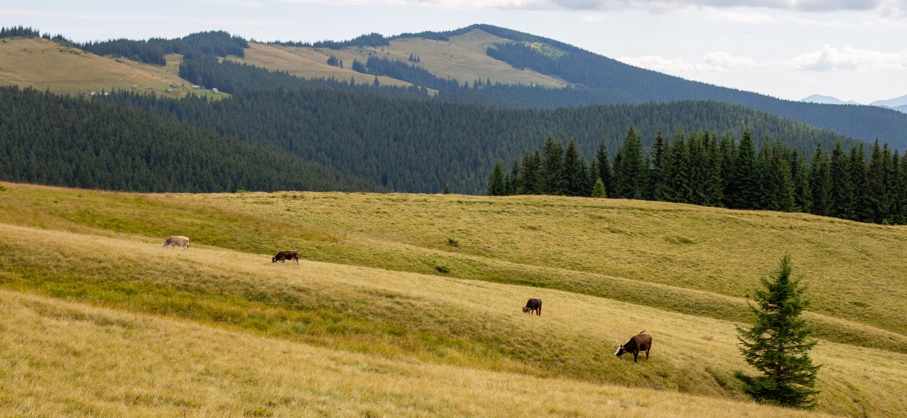 Przymiarki Beskid Niski – co t jest i co można zobaczyć?