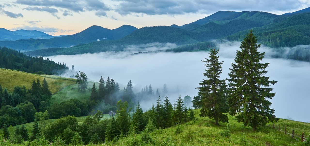 Ciechania Beskid Niski – co to jest?