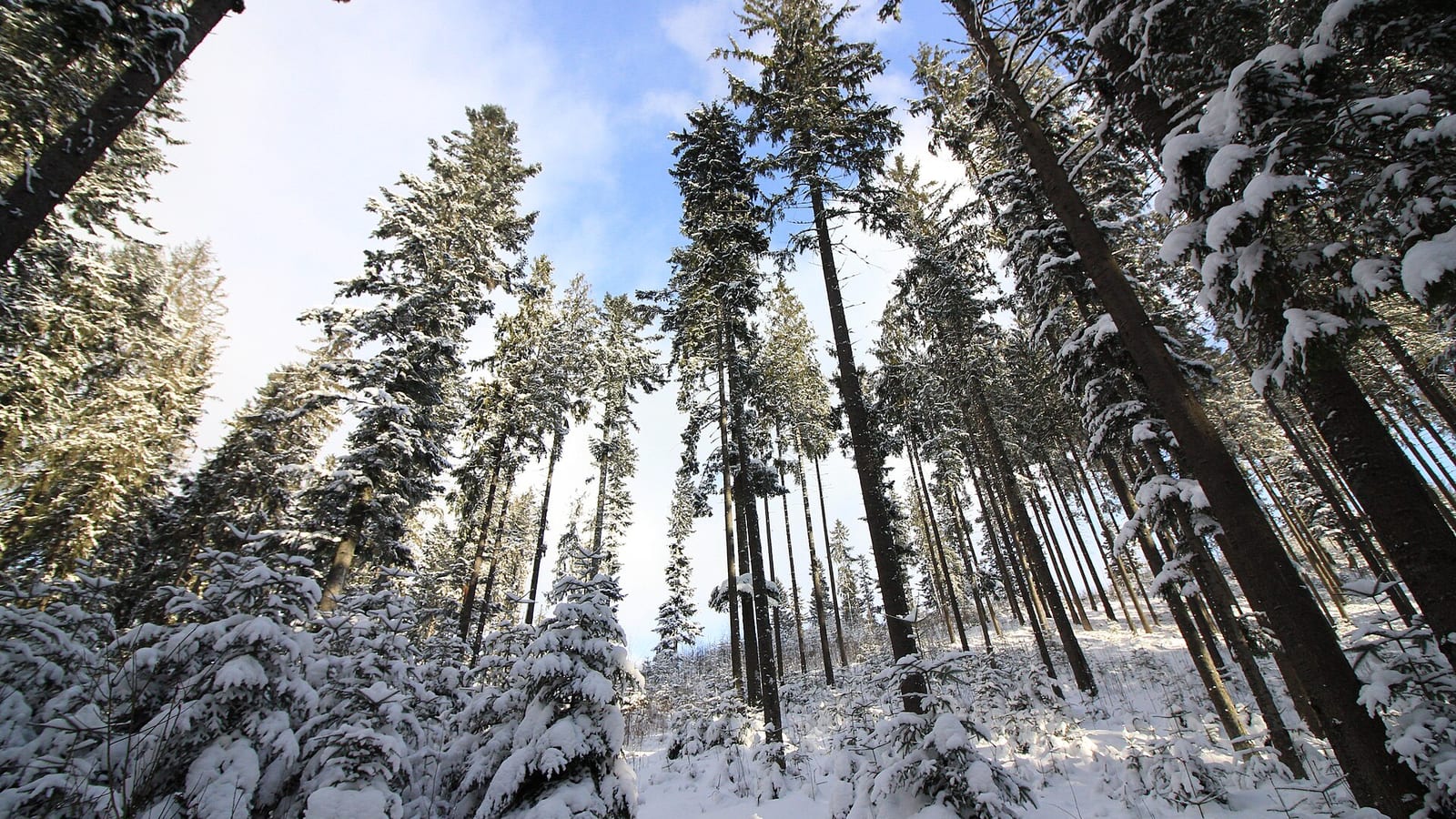 Tatry