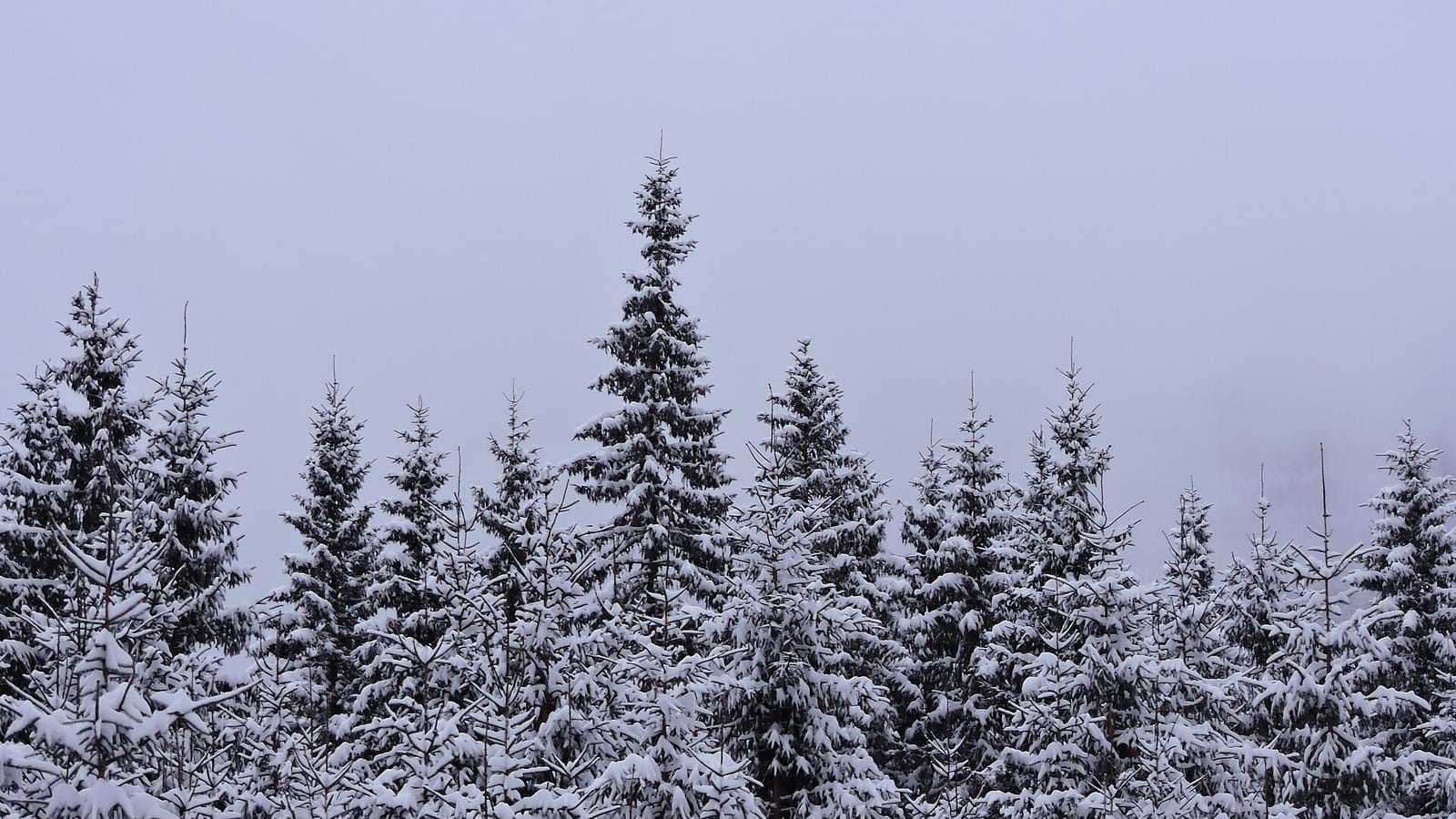 Tatry