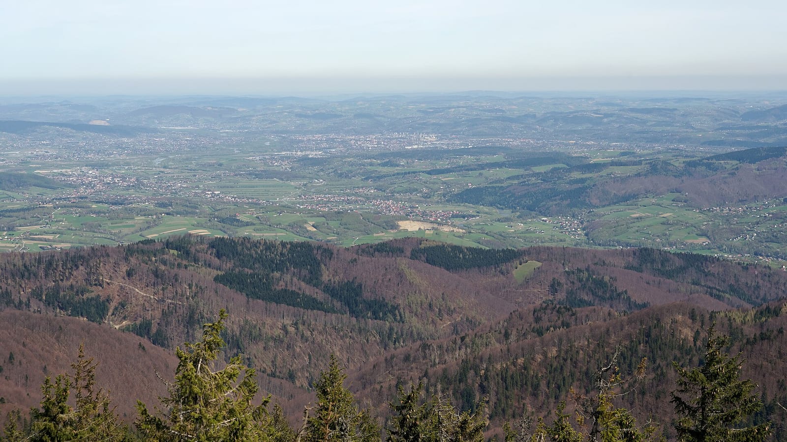 Nowy Sącz