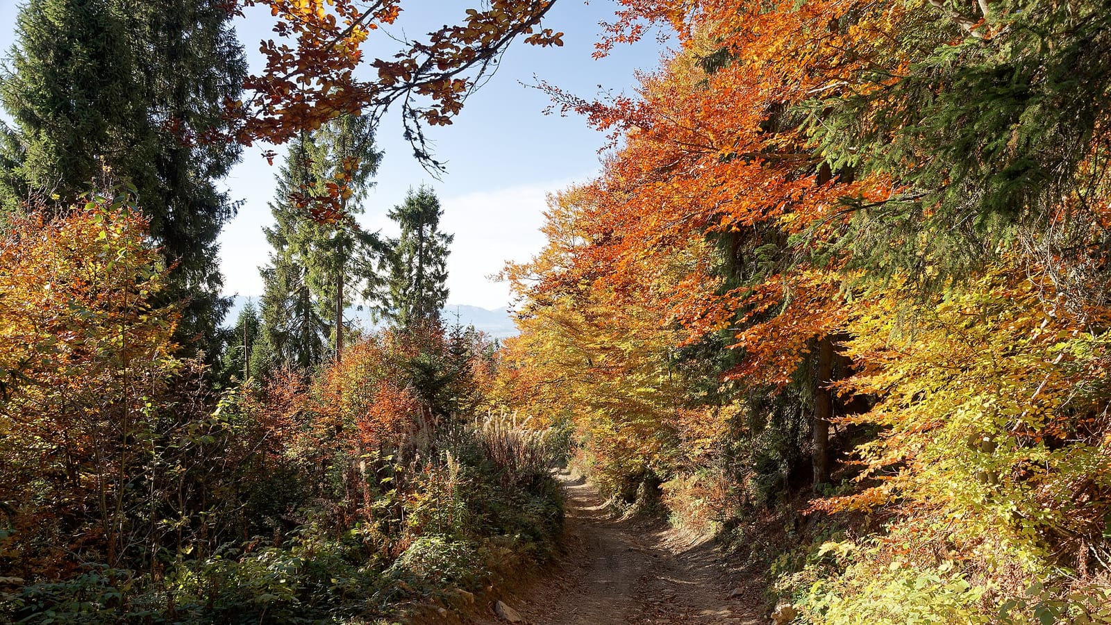 Bieszczady