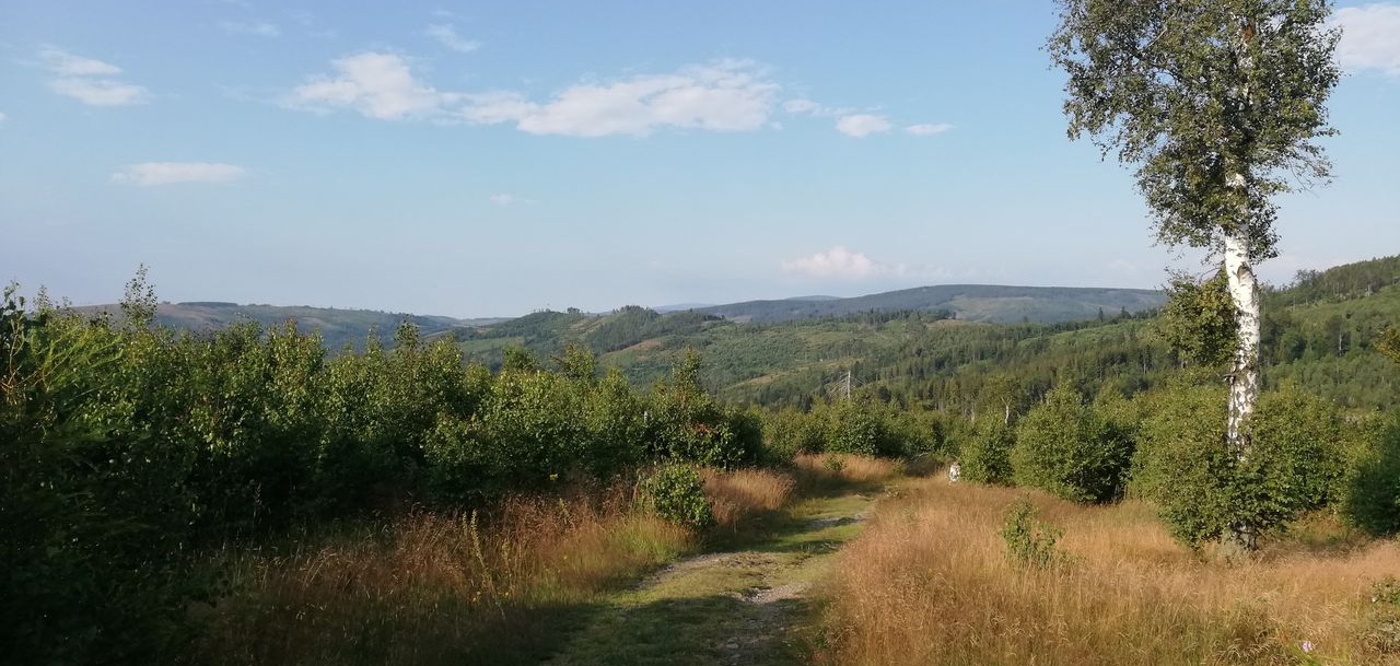 Jakie są najpopularniejsze trasy na 3 dni w Beskidzie Żywieckim?
