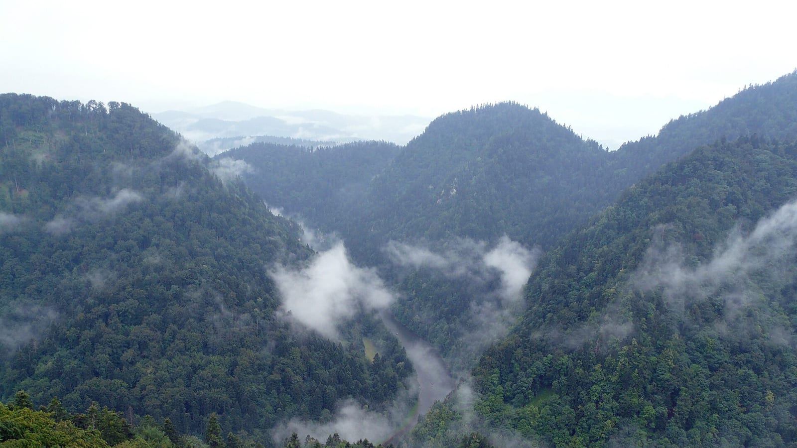 Pieniny