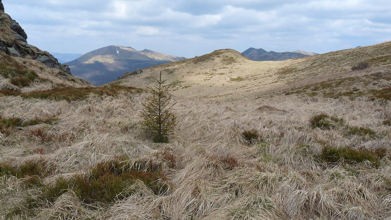 Bieszczady