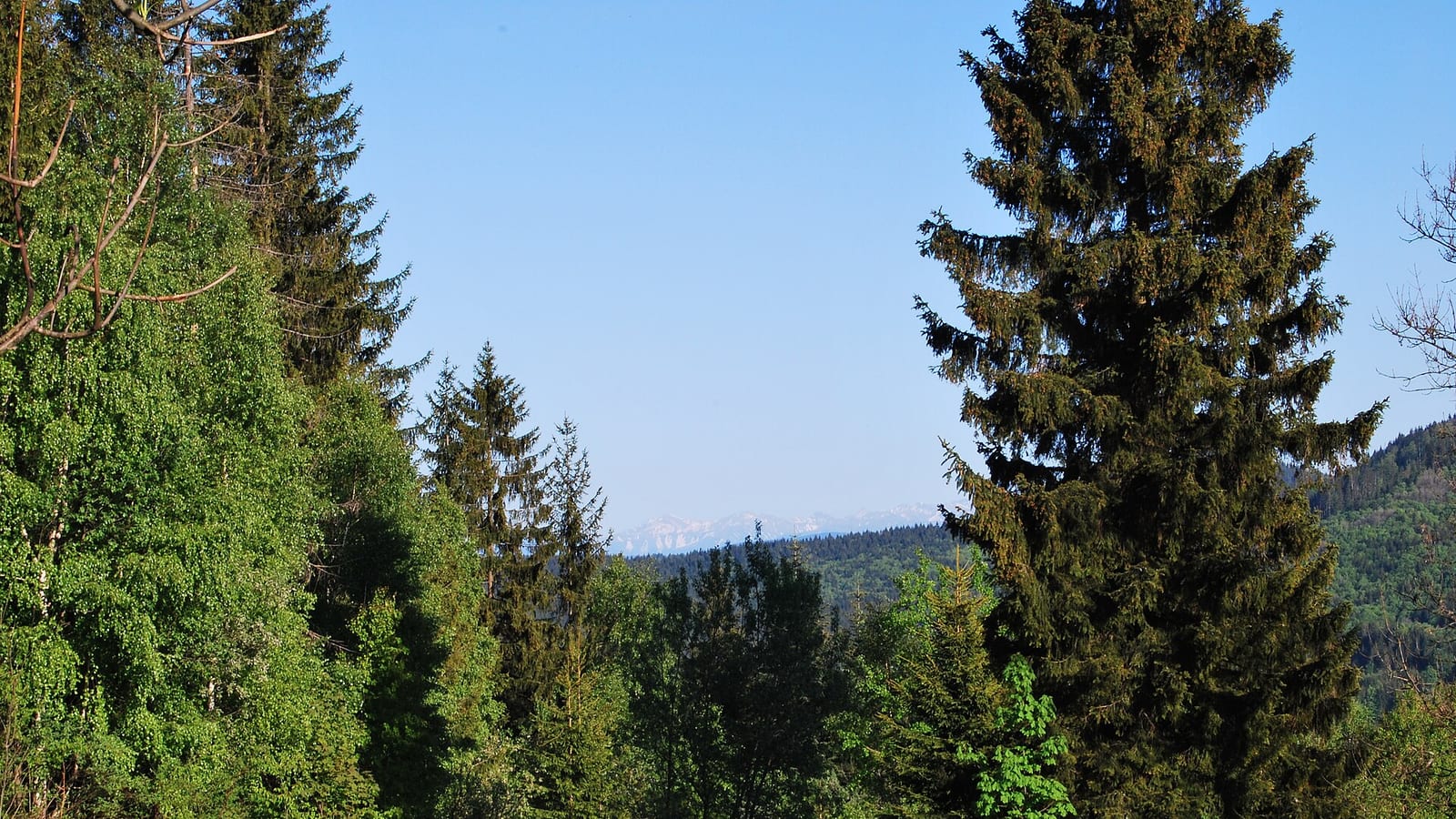Solisko (1031 m)