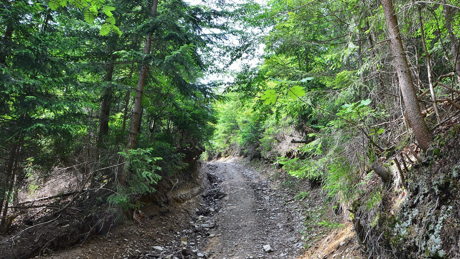 Beskidy